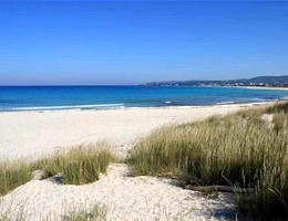 Spiagge Bianche di Vada - La Mazzanta